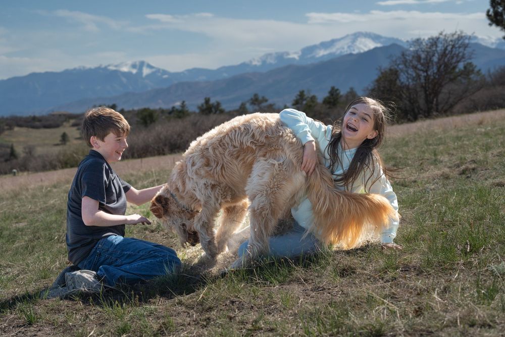 Family photography session outdoors in the mountains of Colorado. Kids with their dog in natural light family session