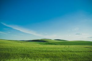 Rolling green hills and pastures stretch to the horizon under a bright blue summer sky creating a serene rural landscape.