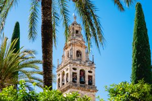 Palm trees and cypress trees frame a historic Spanish cathedral bell tower against a bright blue sky in Cordoba.