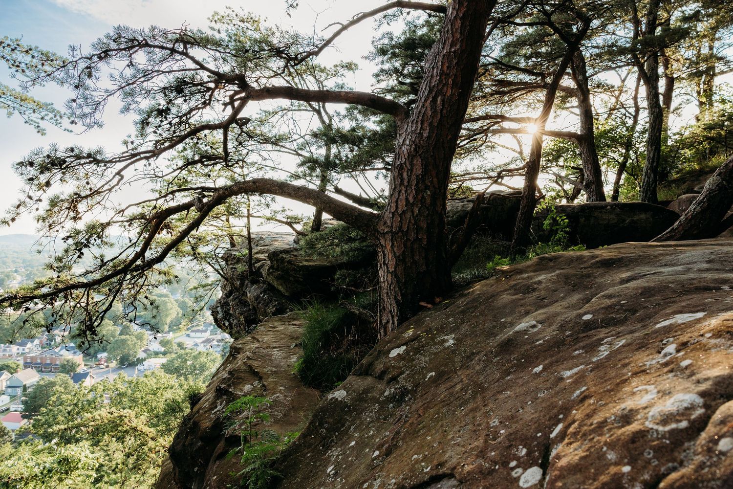 A scenic waterfall cascading over rocky steps in a serene forest setting with dappled sunlight.