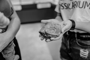 A black and white photo shows hands holding a detailed seashell in close-up view.