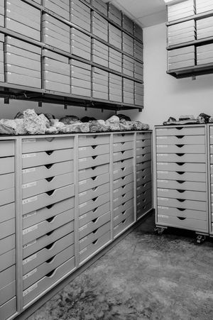 A storage room with rows of large gray flat file cabinets and drawers under fluorescent lighting.