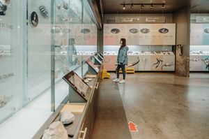 A person browses display cases in an empty museum gallery with glass walls and concrete floors.