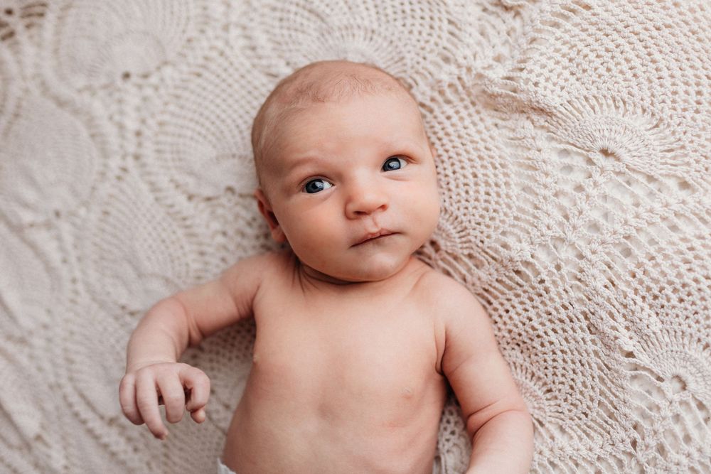 Newborn photography session featuring soft textures and neutral tones against a cream backdrop.