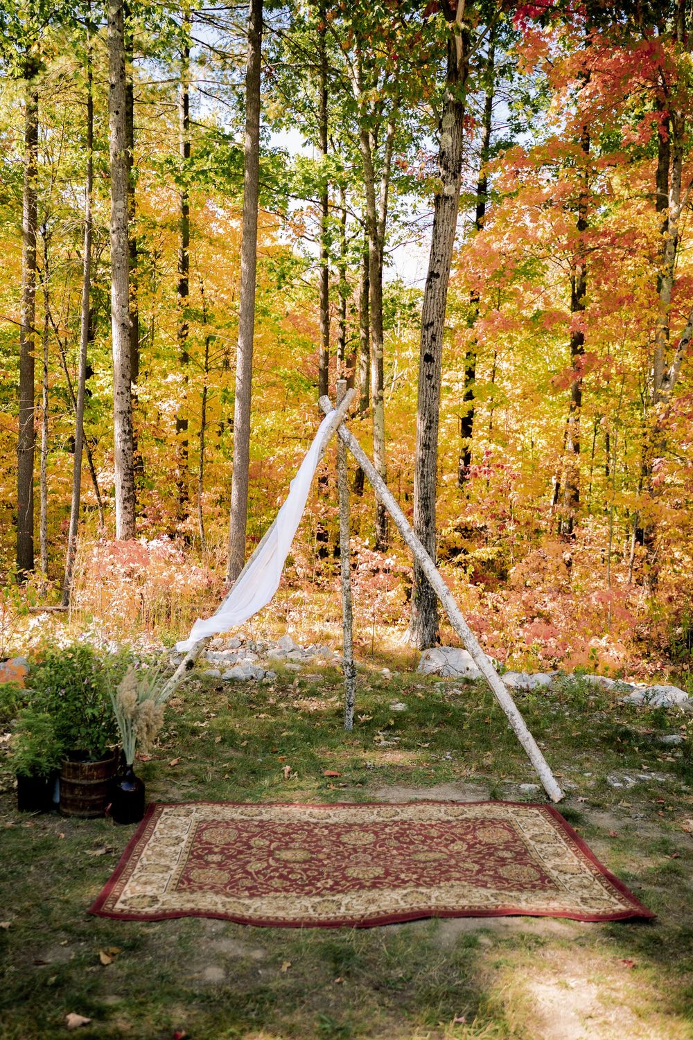 A rustic wedding arch with white fabric and a vintage rug set against vibrant fall foliage in the woods.
