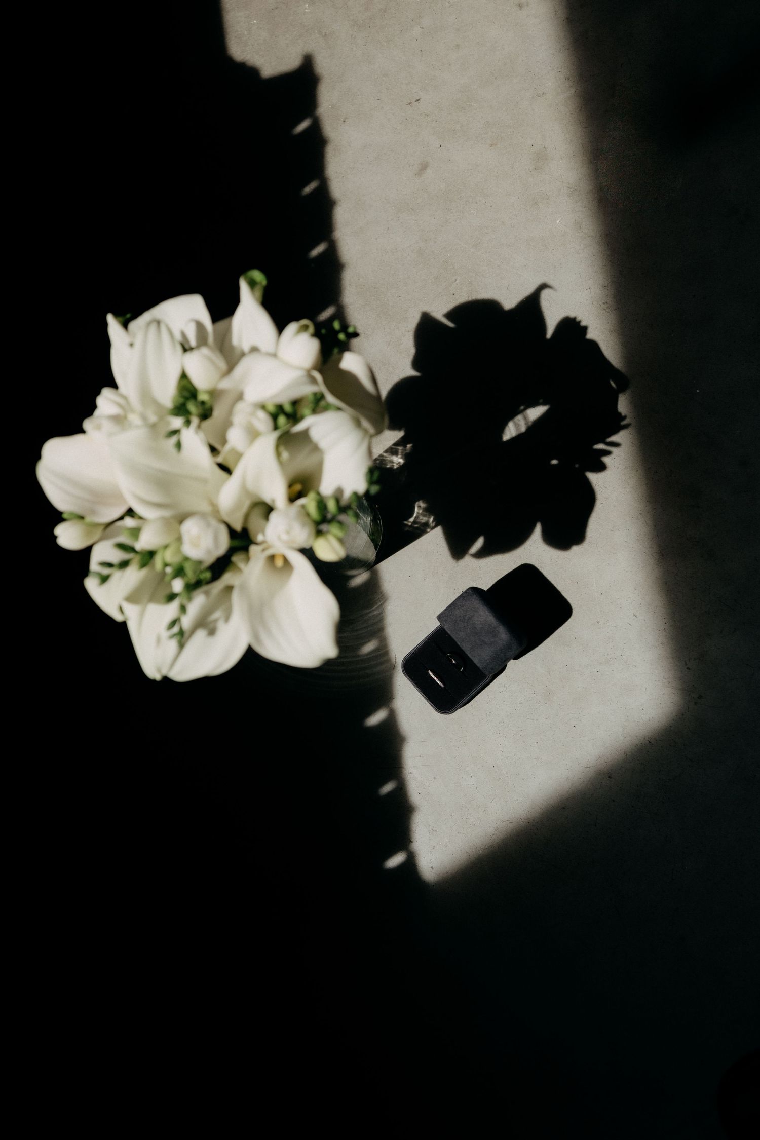 Dramatic black and white composition of white flowers with strong shadow contrast.