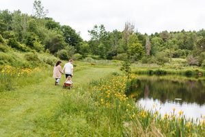 A scenic path winds along a tranquil pond surrounded by wildflowers and green vegetation.