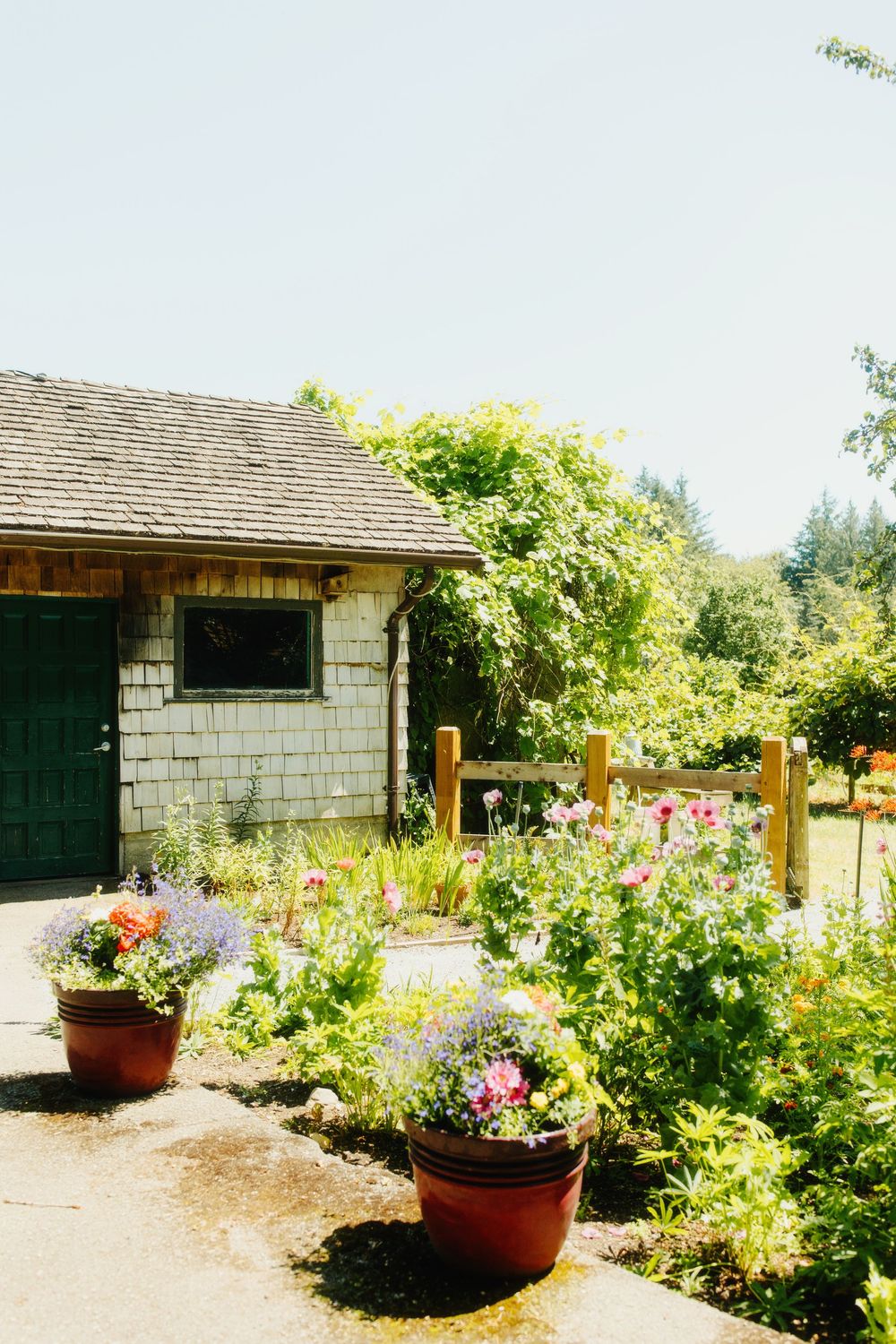 Stone cottage with colorful flower garden and potted plants in summer.