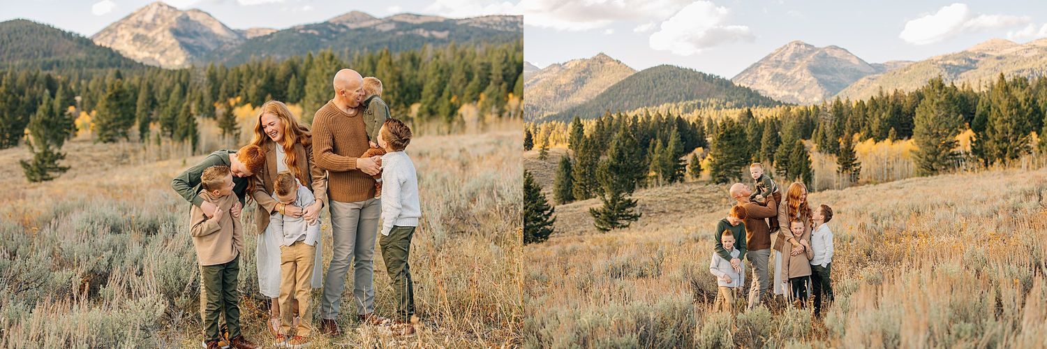 A panoramic mountain landscape with evergreen forests and golden meadows stretches across multiple connected photos.