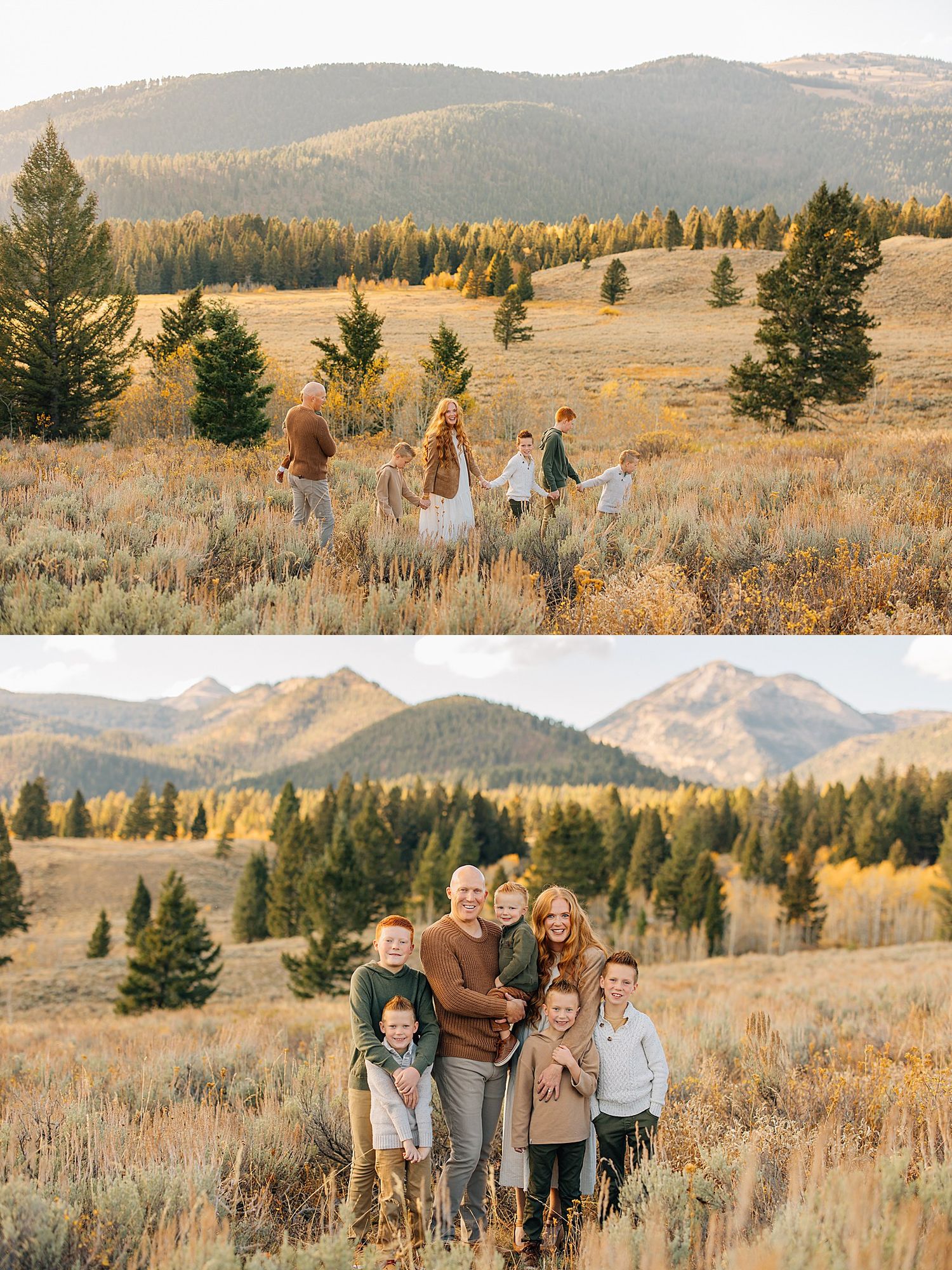 Group enjoying a scenic autumn photoshoot in golden mountain meadow with evergreen trees and rolling hills.