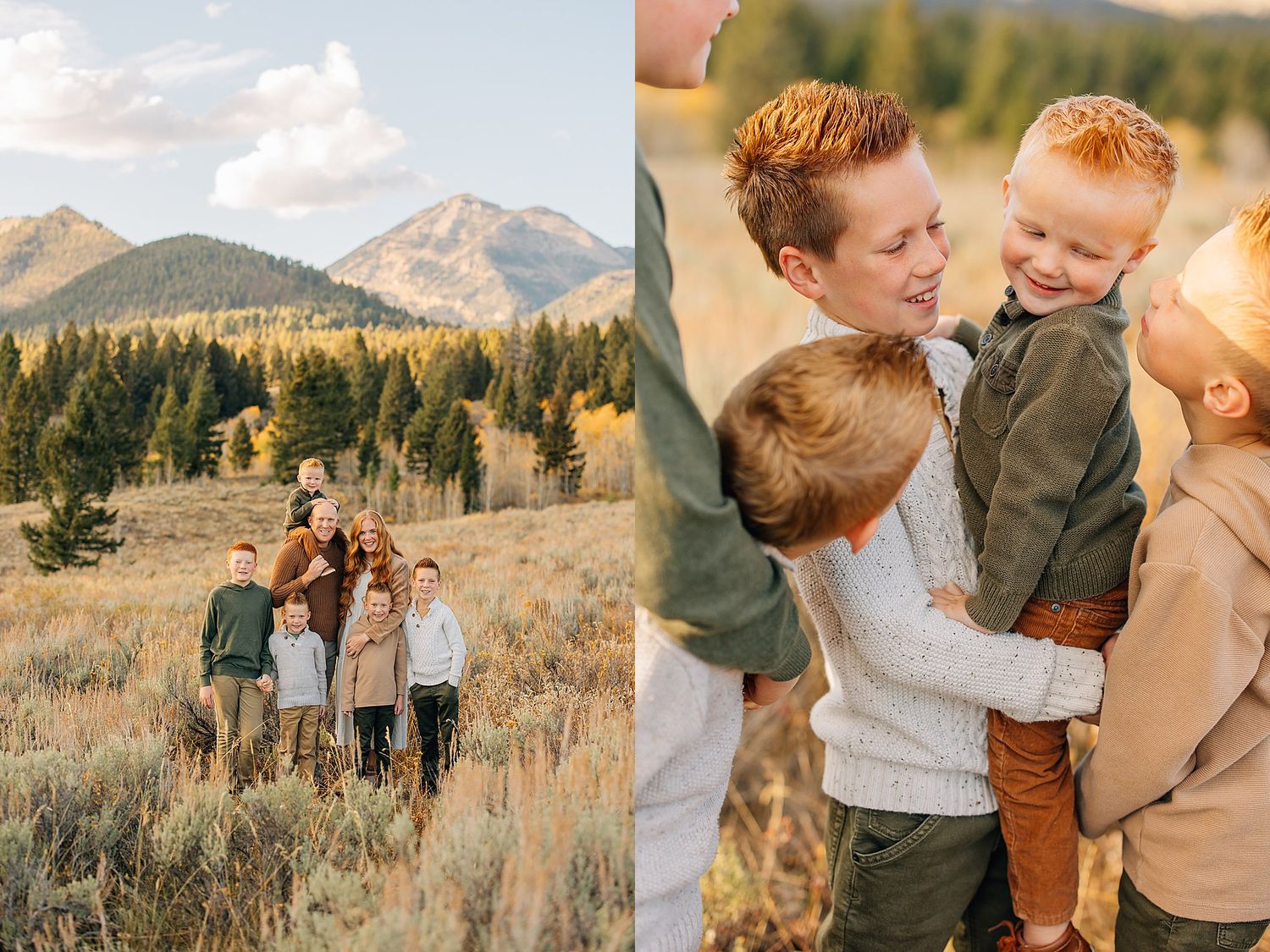 Couple embraces in a golden mountain meadow during autumn sunset with tall grasses and evergreen trees in background.