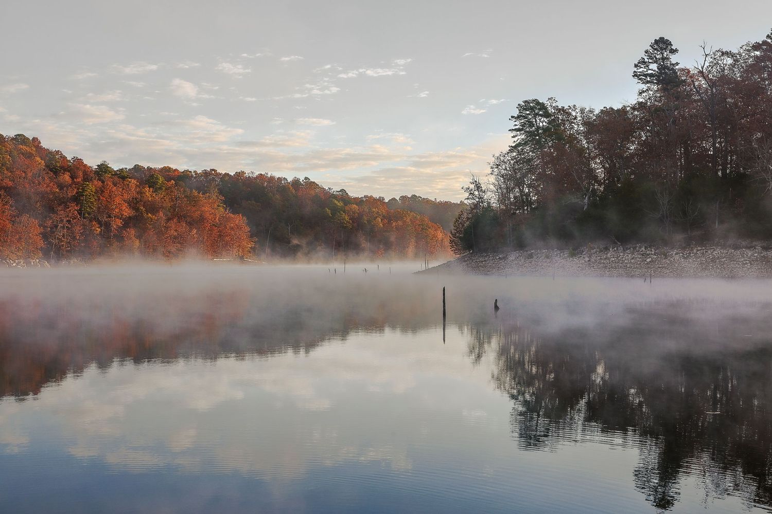 Misty autumn lake at dawn with colorful fall foliage reflecting on calm water and soft fog drifting across the surface.