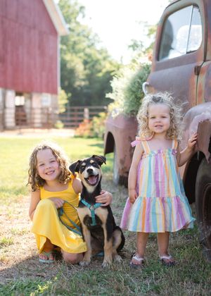 A series of outdoor photos showing a child in yellow and striped dresses playing with a black and brown dog near a rustic barn.