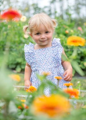 Young child in polka dot dress explores vibrant orange and yellow flowers in a summer garden.