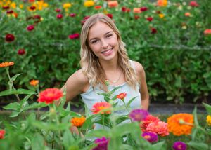 Vibrant zinnias bloom in a colorful garden with orange, pink and red flowers against lush green foliage.