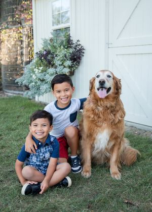 A happy golden retriever sits in the grass with children on a sunny day near a white building.