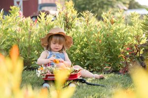 A young figure in a blue dress sits in a garden picking yellow flowers on a sunny afternoon.