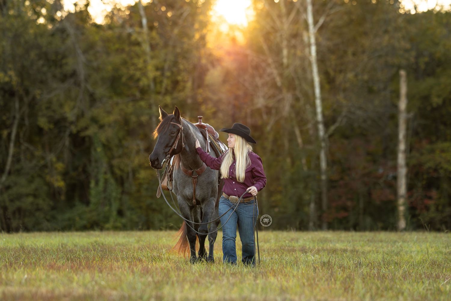 A horse and person stand together in a sunlit field at golden hour with trees in the background.