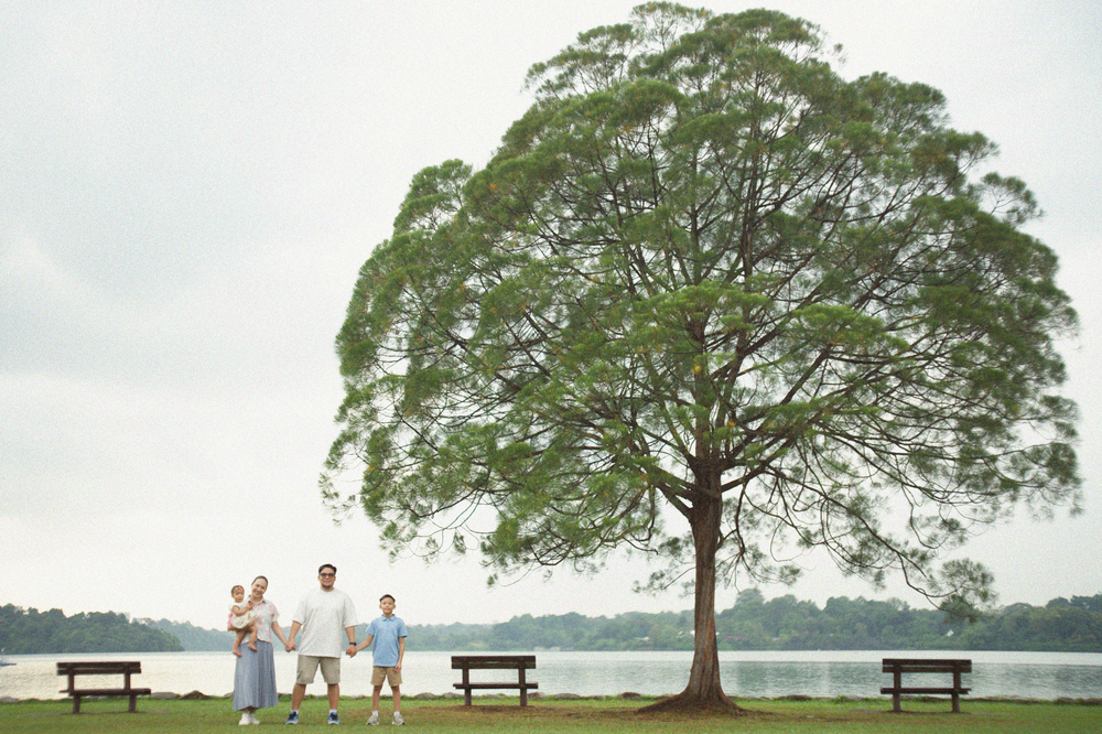 A series of photos showing a large tree by a lake with benches underneath.