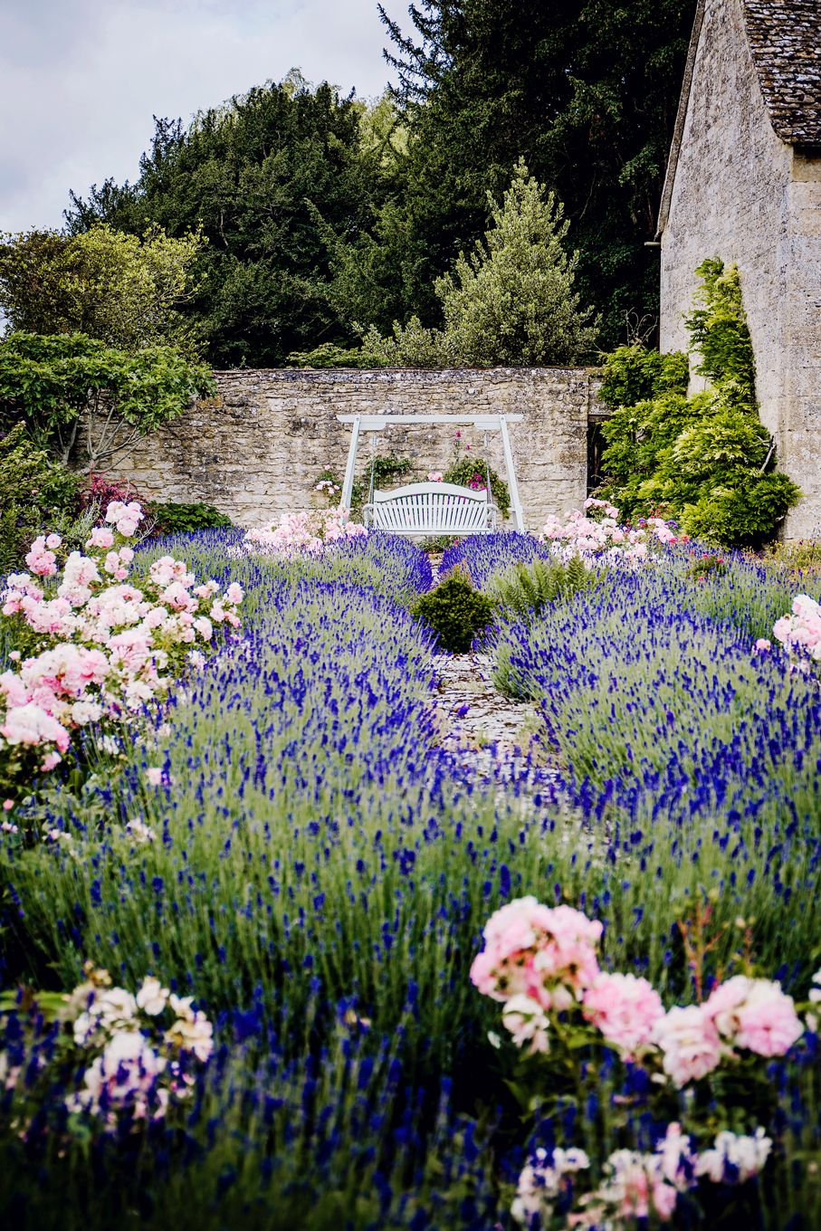 Lavender and love seat beautiful gardens for photo opportunities