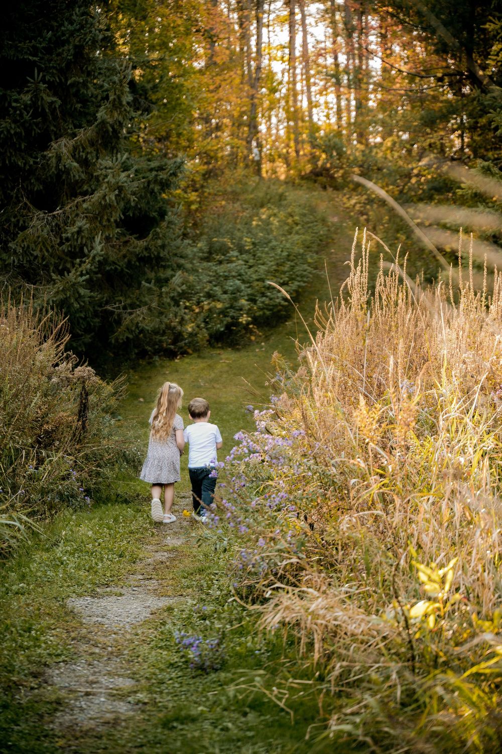 Two small figures walk along a sunlit forest path bordered by tall grasses and trees in autumn.