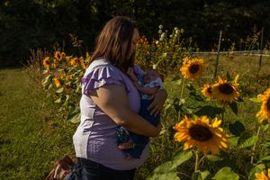 A sunflower garden glows in warm evening sunlight as someone stands among the tall yellow blooms.