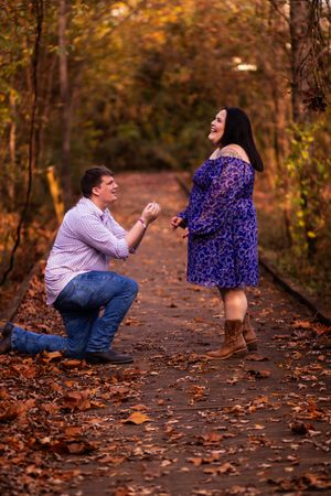 Proposal sequence showing couple on autumn forest path with fallen leaves as person kneels to propose.