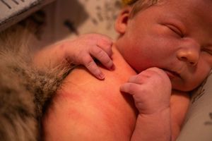 A series of intimate close-up photos showing a tender moment between parent and newborn baby.