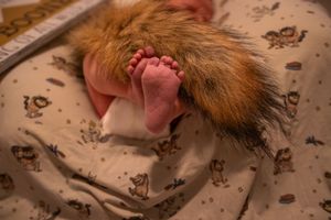 A ginger cat licks its paw while lying on a patterned surface.