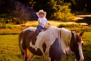 A brown and white paint horse and rider walk through a sunlit meadow at golden hour.
