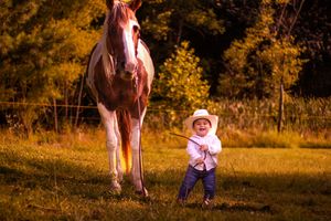 A series of sunset photos showing a child in pink clothing playing near a brown horse in a golden autumn field.