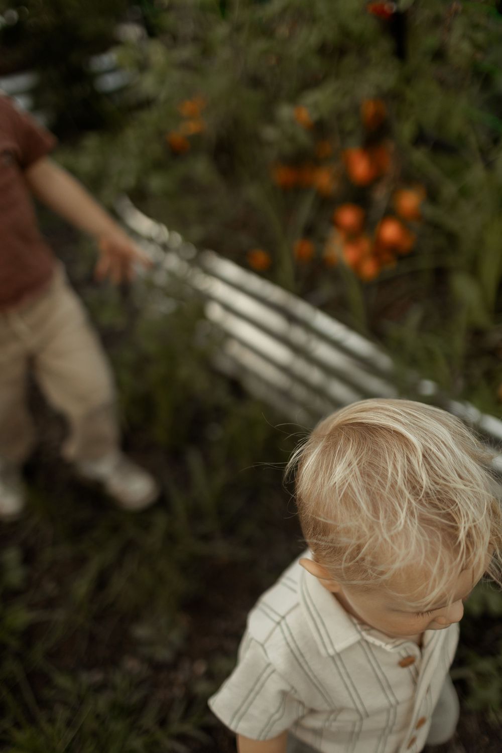 A sequence of photos shows a child in a white shirt playing outdoors among orange flowers in a garden setting.
