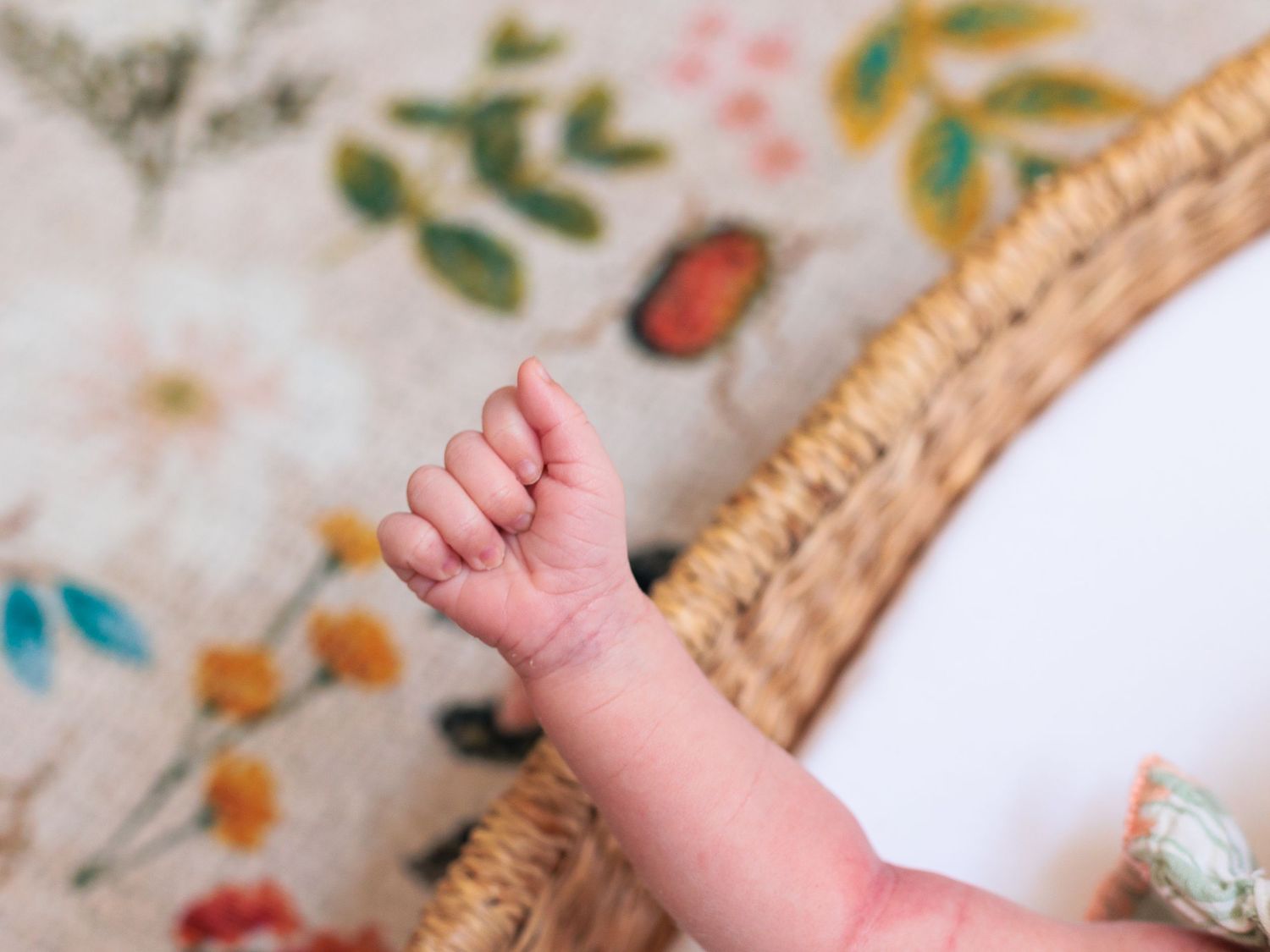 newborn hands details