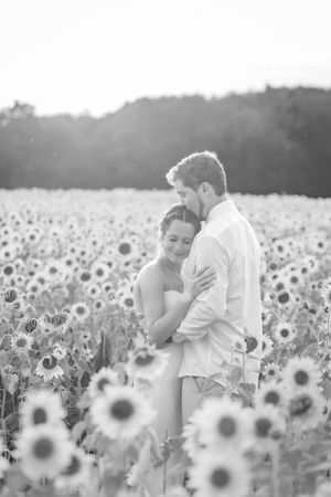 A romantic couple embraces in a sunlit field of blooming sunflowers.