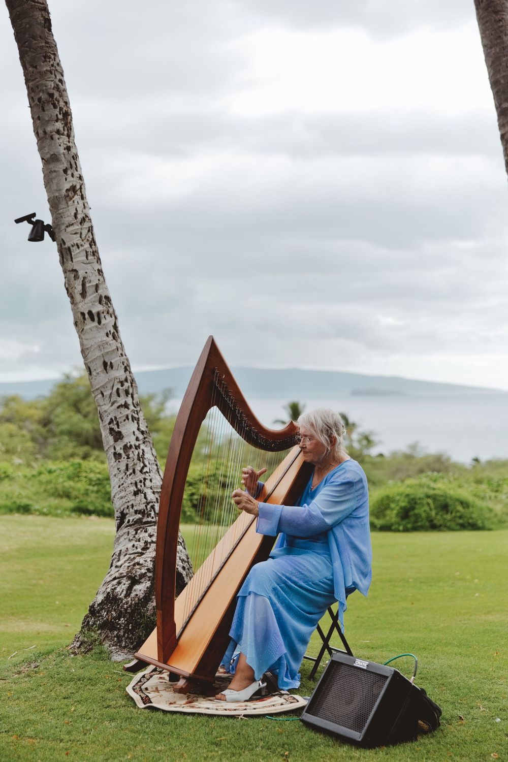 A harpist in a blue dress performs outdoors under birch trees on a cloudy day.