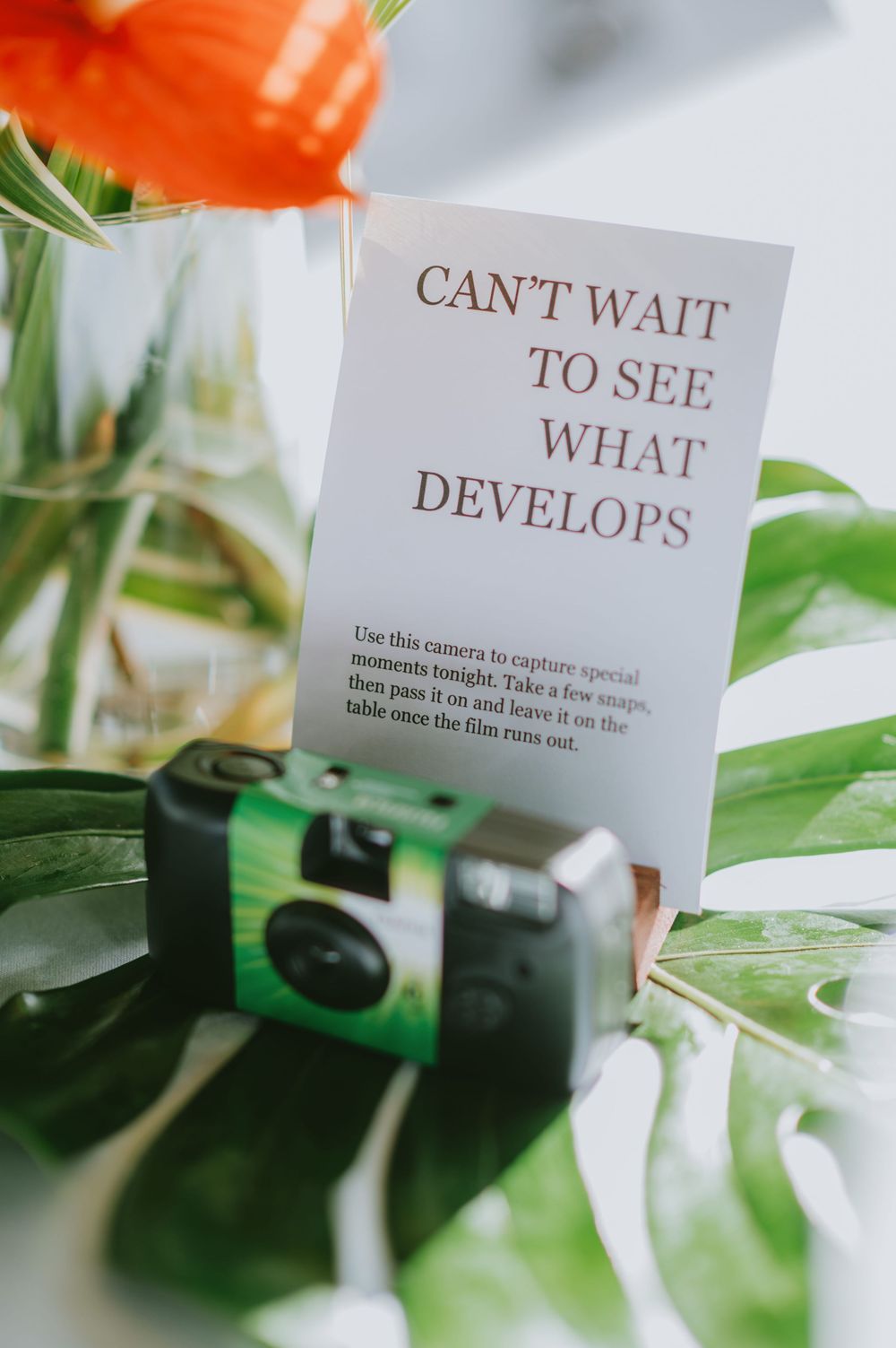 A note card reading 'Can't wait to see what develops' sits beside a vintage camera among tropical leaves and flowers.