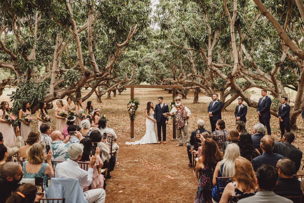 Wedding guests gather under trees for an outdoor ceremony with natural lighting.