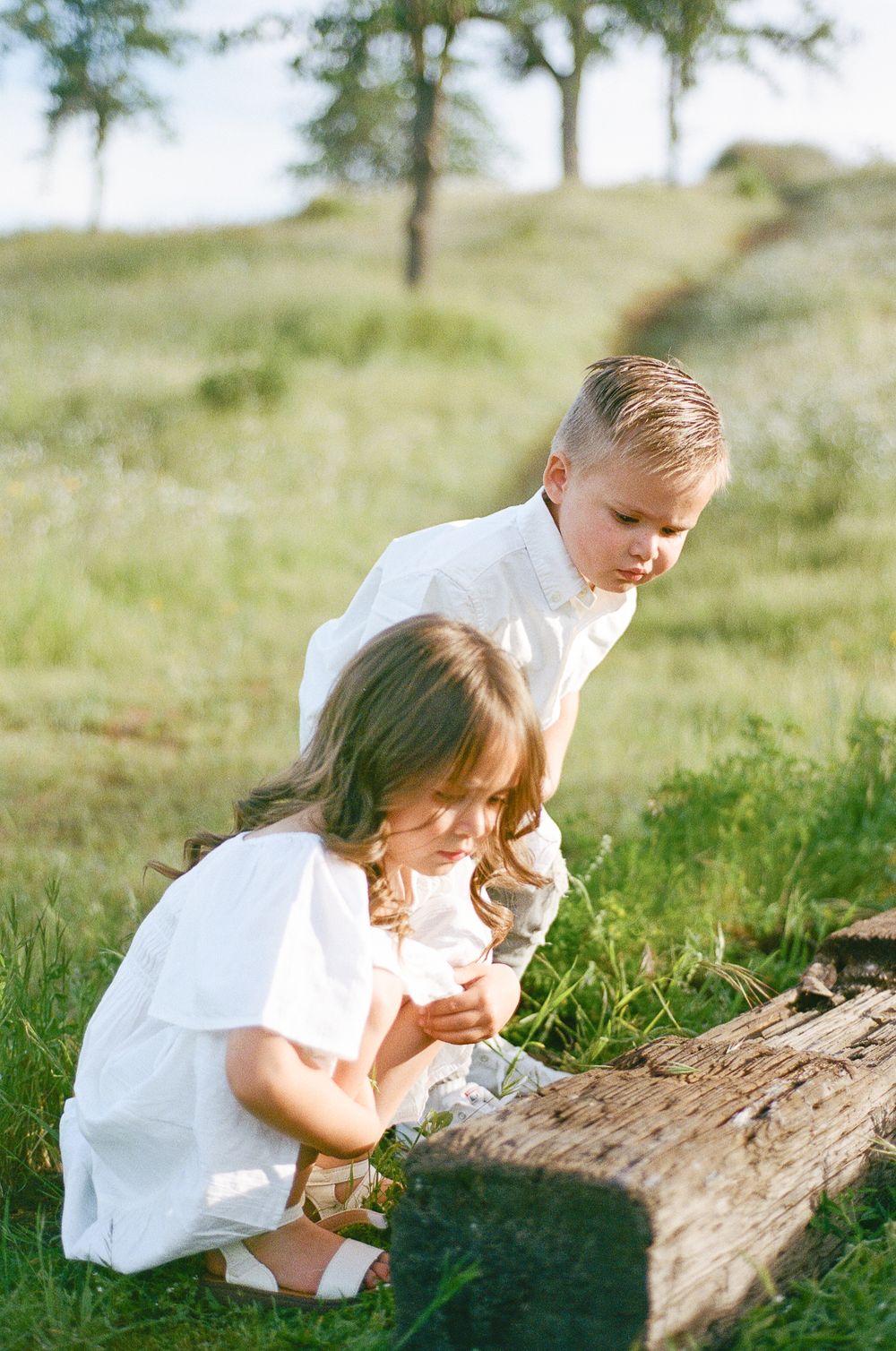Three connected photos show someone in a white dress sitting by a fallen log in a sunny grassy field.