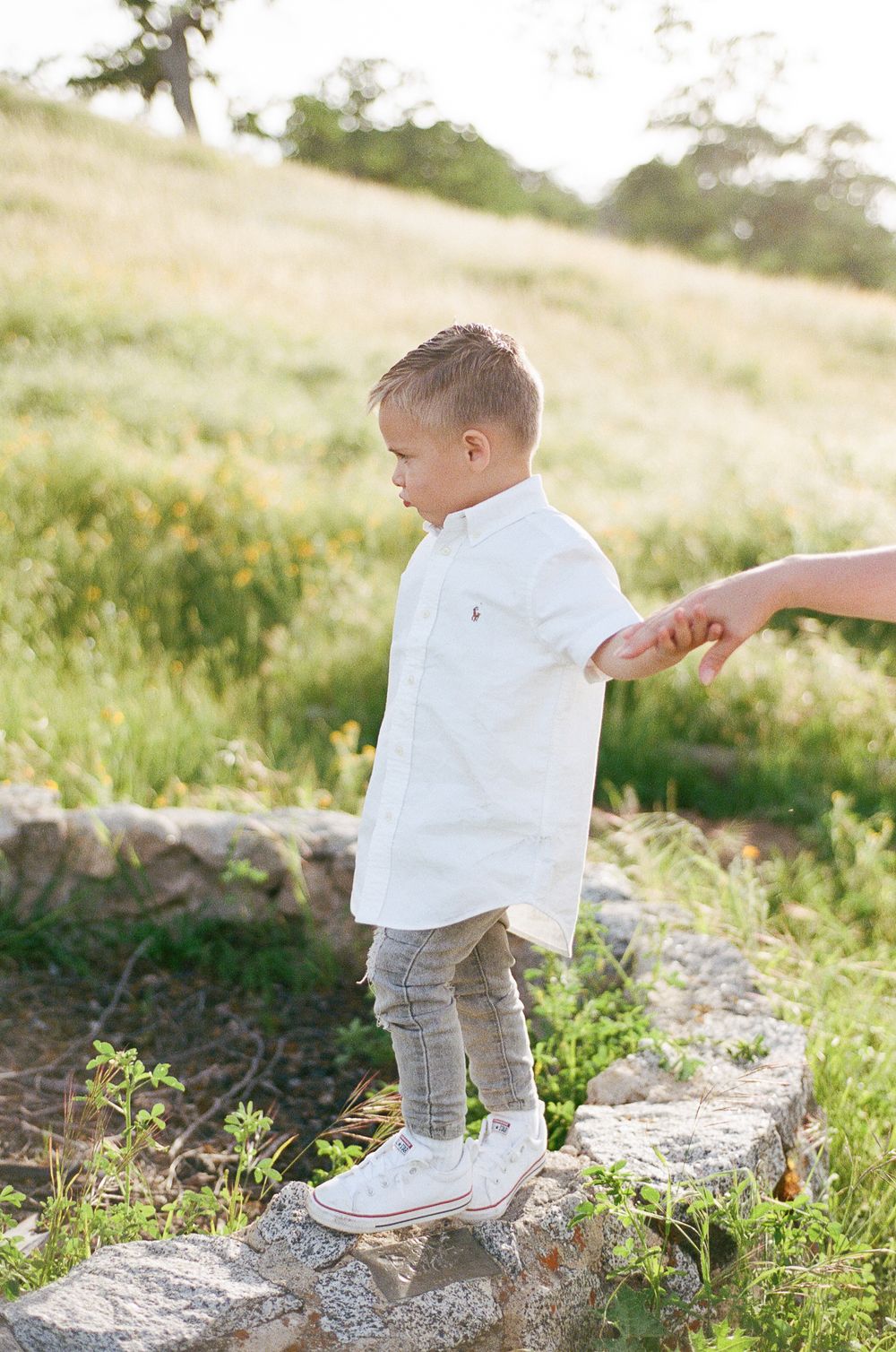 A child in a white shirt and plaid shorts walks along a stone wall in a sunlit meadow filled with wildflowers.