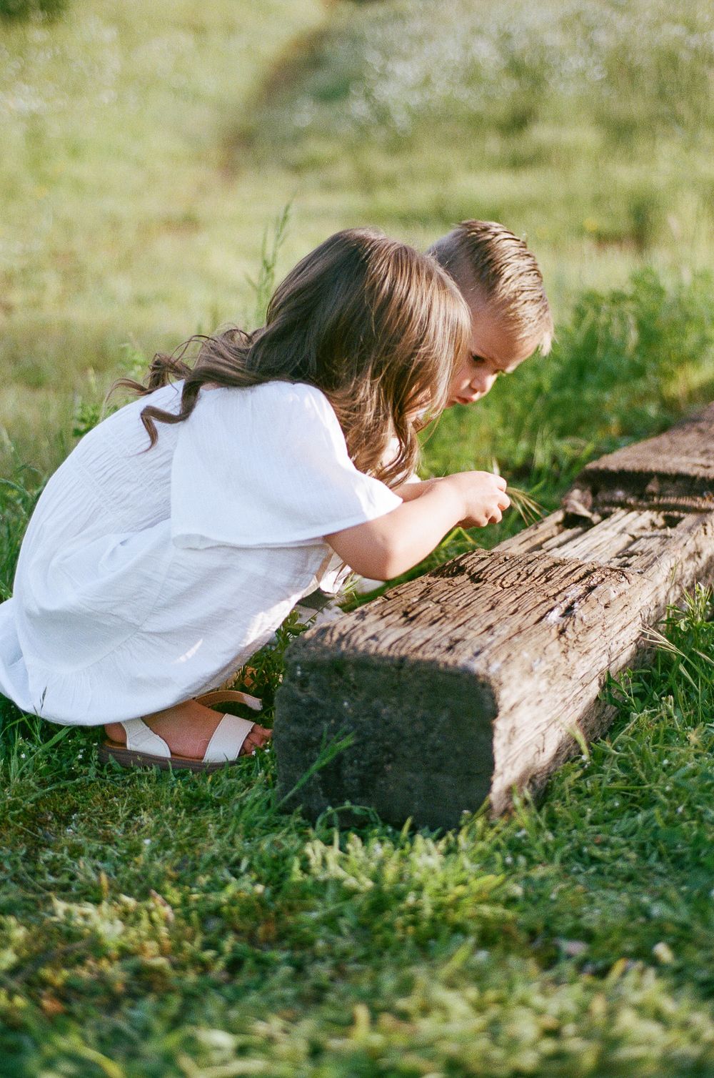 A child in a white dress crouches down to examine a fallen log in a sunny grassy field.