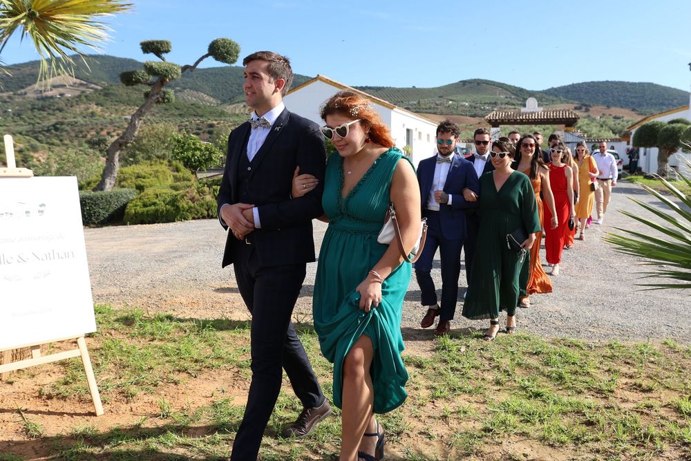 Wedding guests walking in a line along a scenic outdoor path with mountains and palm trees in the background.