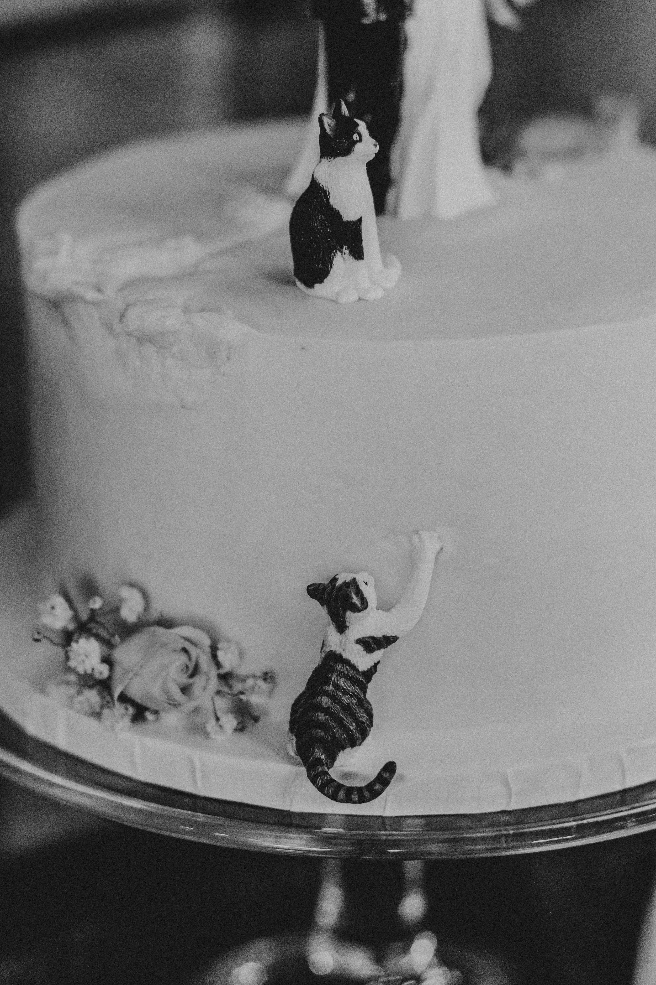 Close-up black and white photo of a white frosted cake with dark decorative elements on a plate.