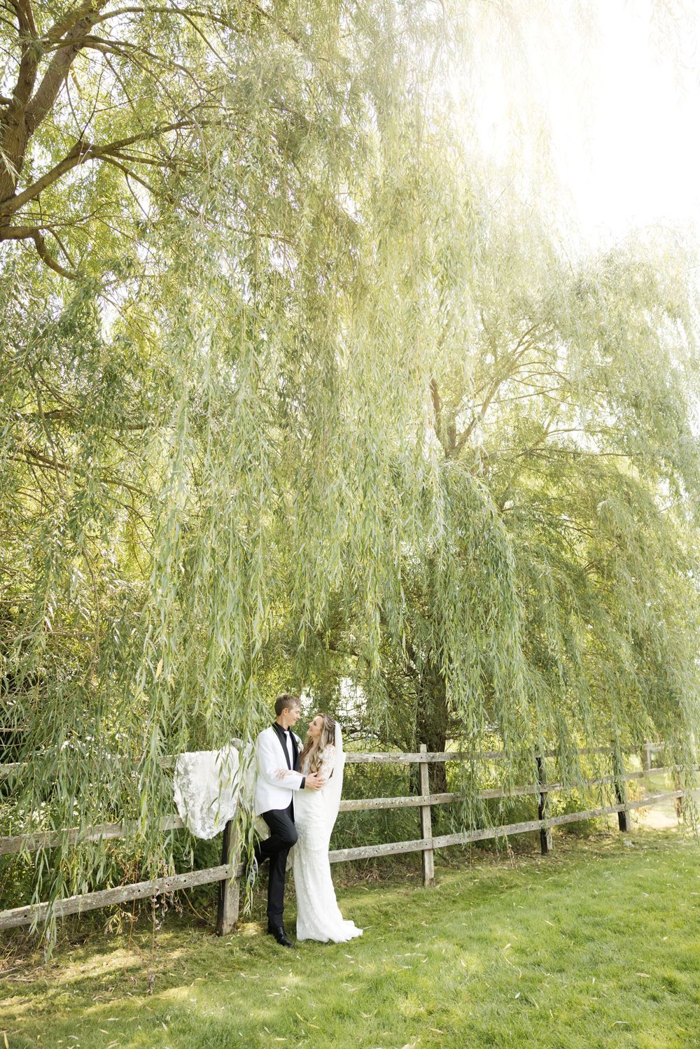 Romantic portrait session along a wooden fence line with weeping willows overhead.