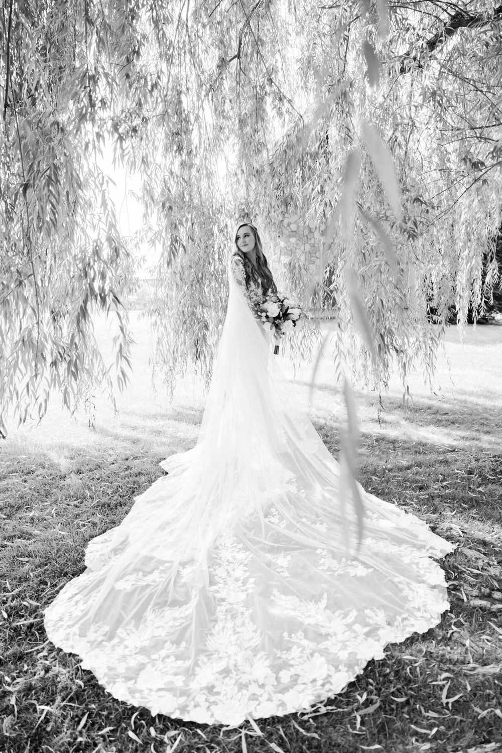 Black and white photograph of an elegant wedding dress train spread beneath willow branches.