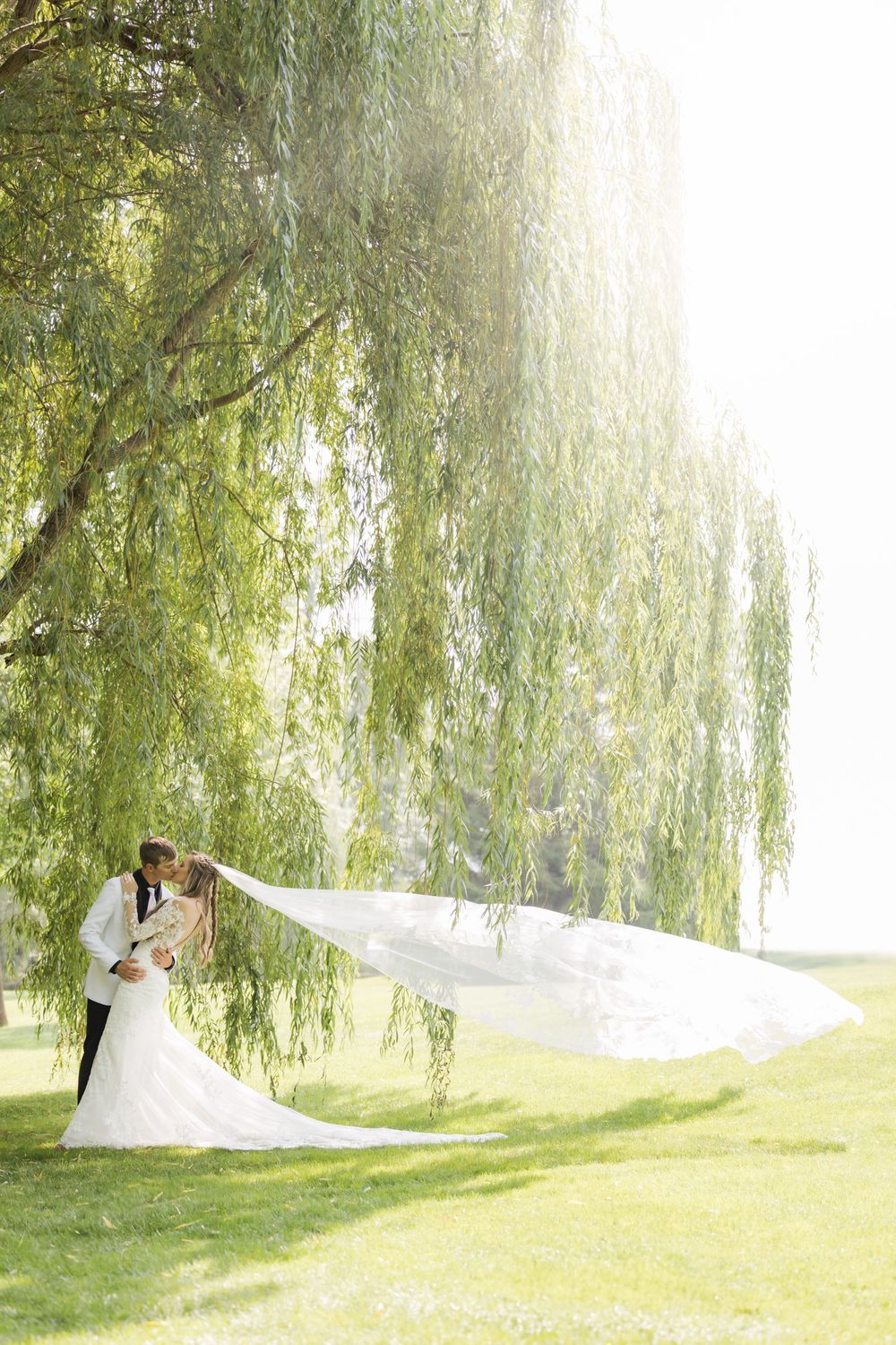 Romantic scene under a weeping willow tree with flowing white dress details.