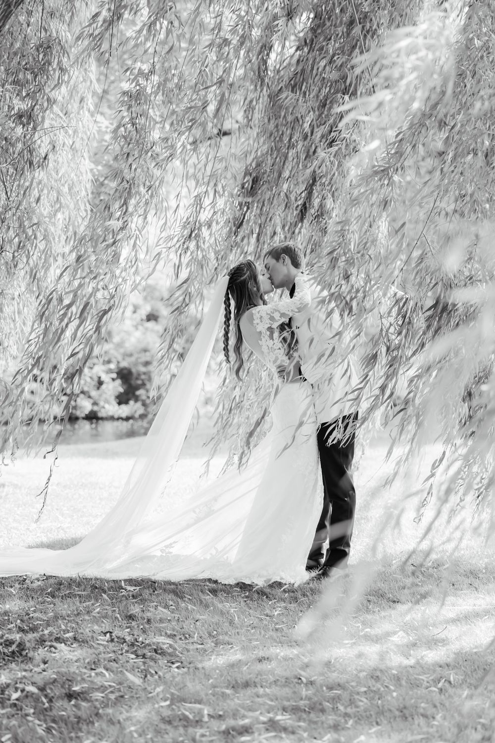 Black and white photo of figures beneath dramatic weeping willow branches.