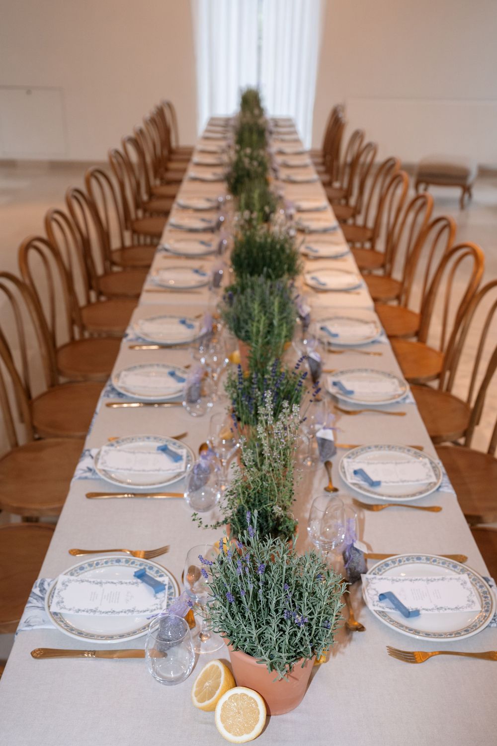 Long elegant dining table set with white plates and potted herbs as centerpieces in a bright interior space.