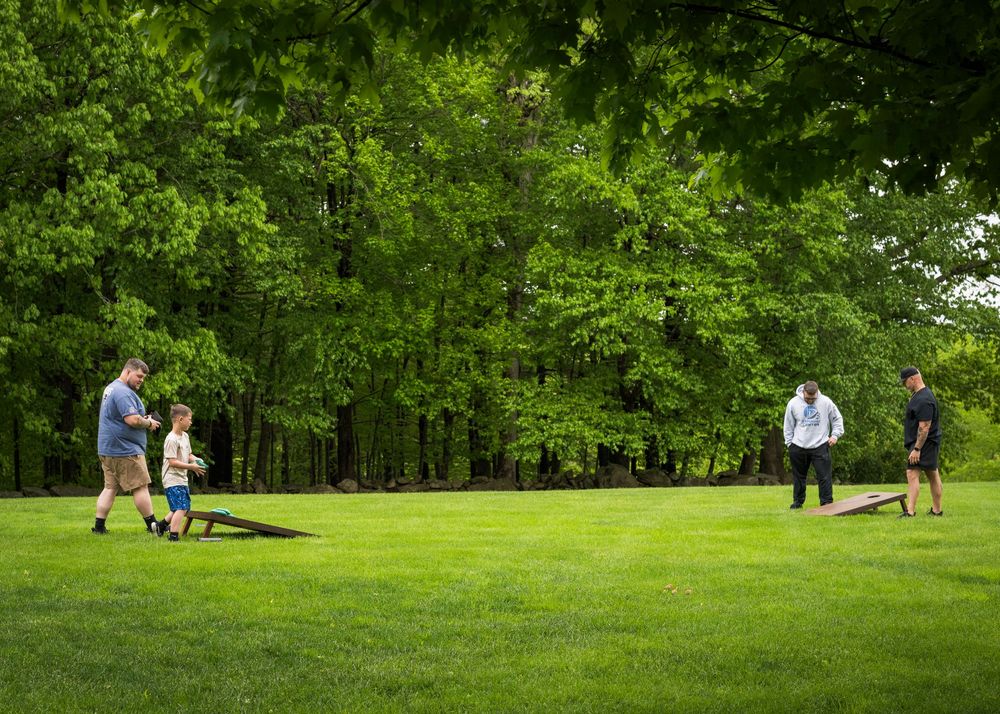 A group of people playing cornhole on a lush green lawn surrounded by tall trees at an outdoor gathering.