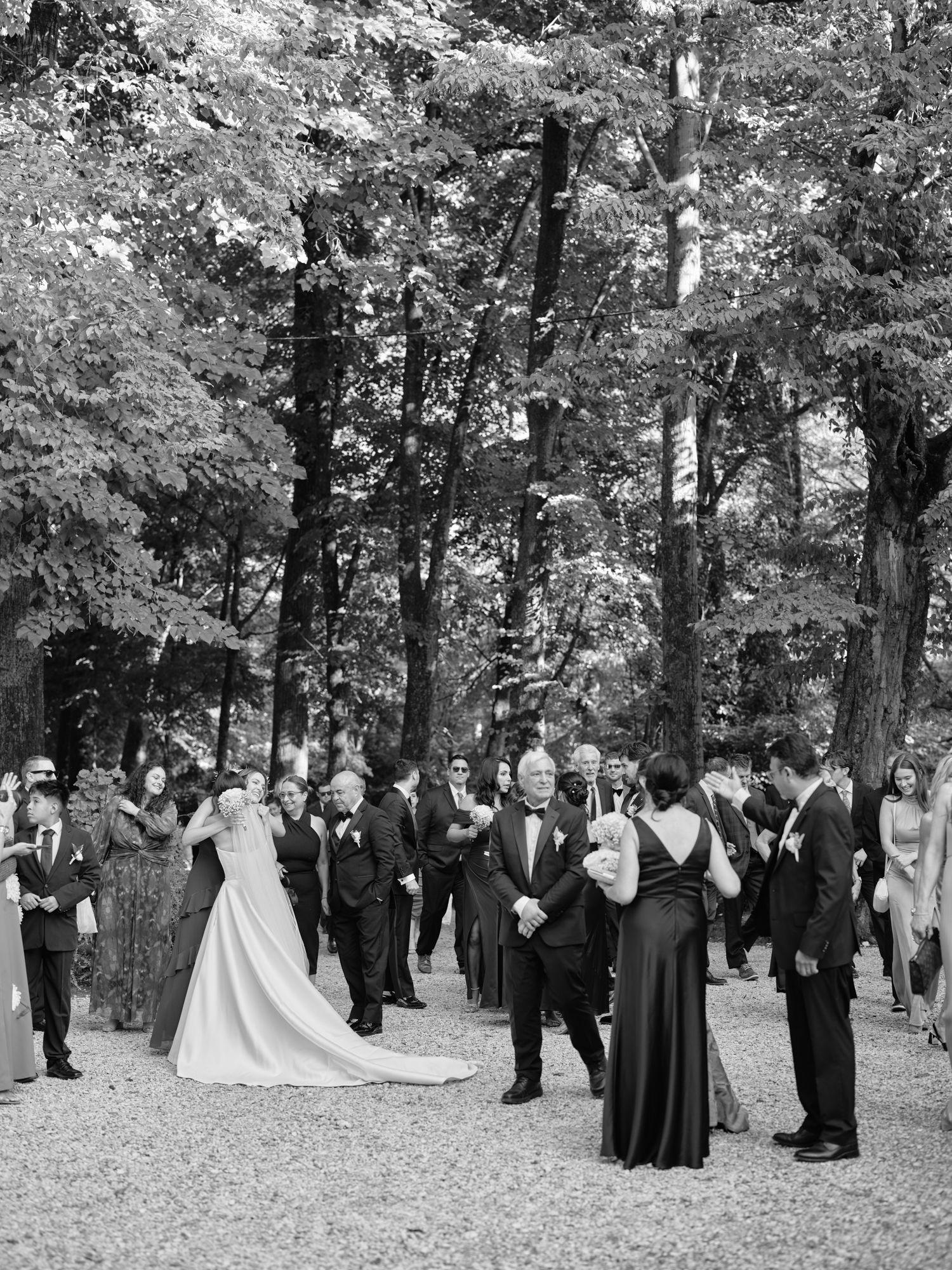 A panoramic black and white wedding party photo captured outdoors in a wooded setting with formal attire.
