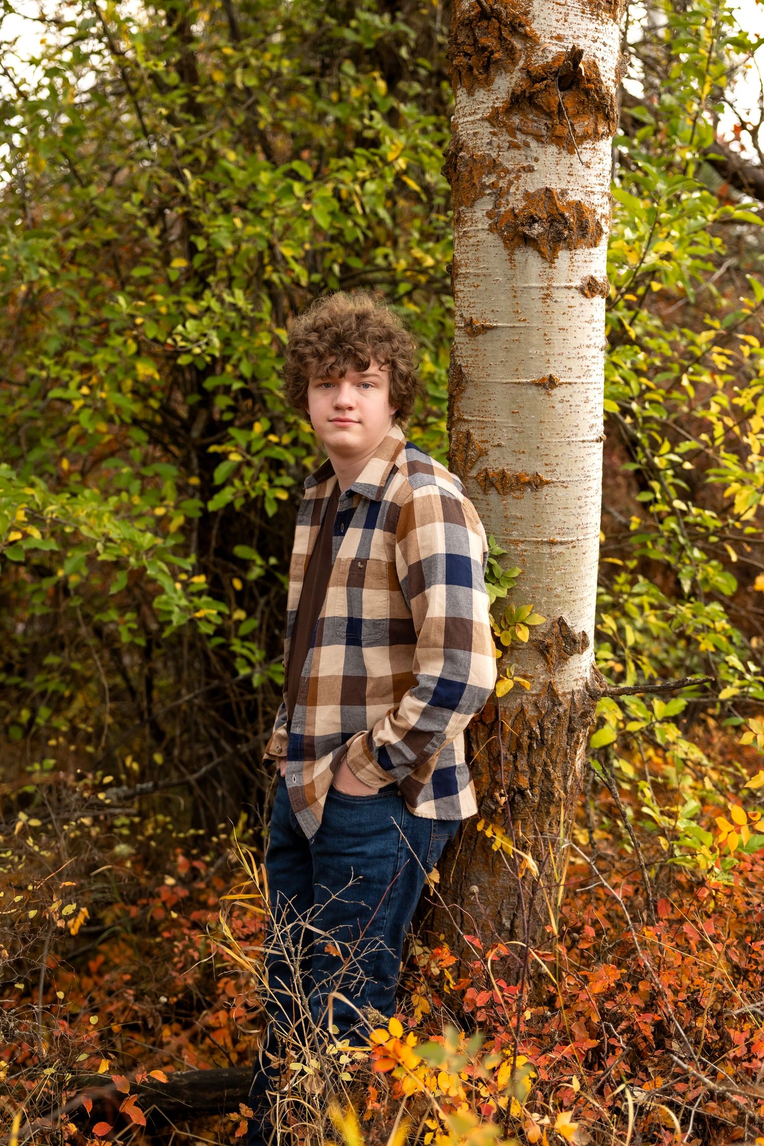 A plaid-shirted figure poses against white birch trees surrounded by vibrant autumn foliage in a natural setting.